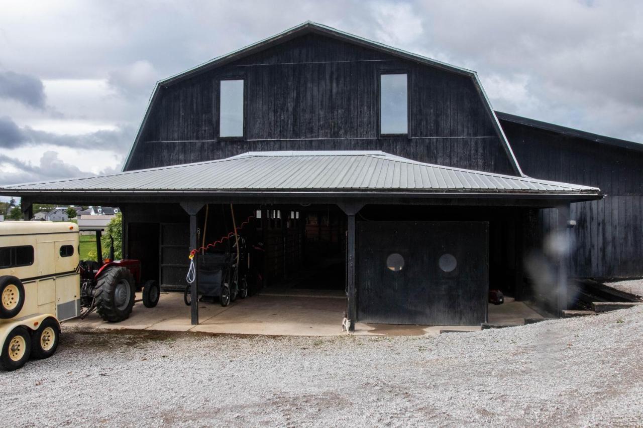 Farmhouse Of Blessings Dundee Bagian luar foto