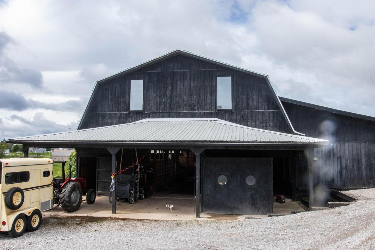 Farmhouse Of Blessings Dundee Bagian luar foto